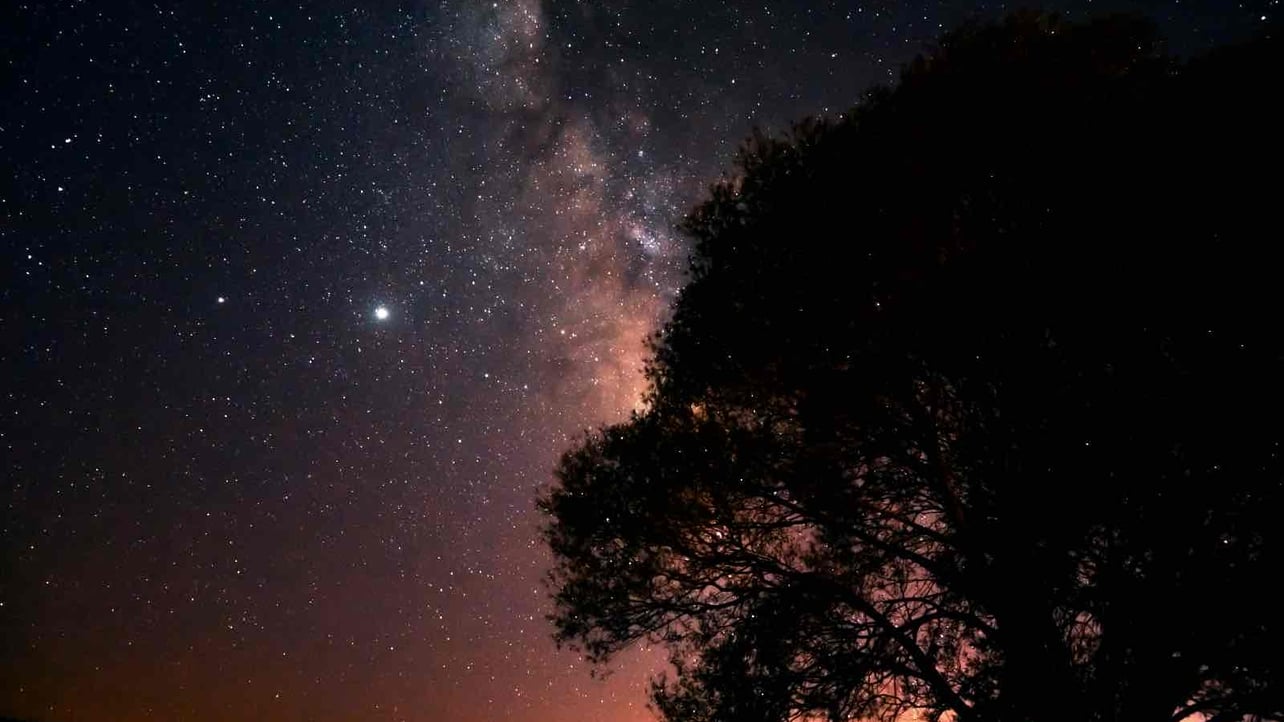 mete (metacortex.lens) Lens social identity (.lens handle) PFP