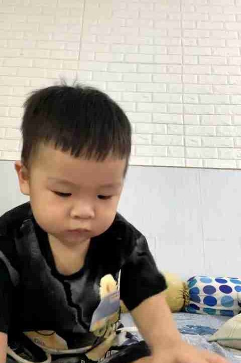 Quocphuc pfp
