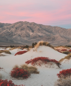 Eugene (eugenea) Farcaster social identity (Fname handle) PFP