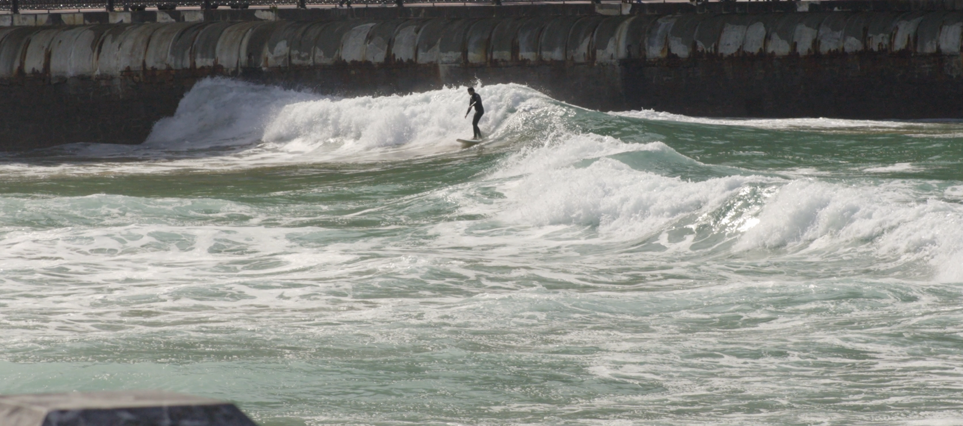 surfing  🌊 pfp
