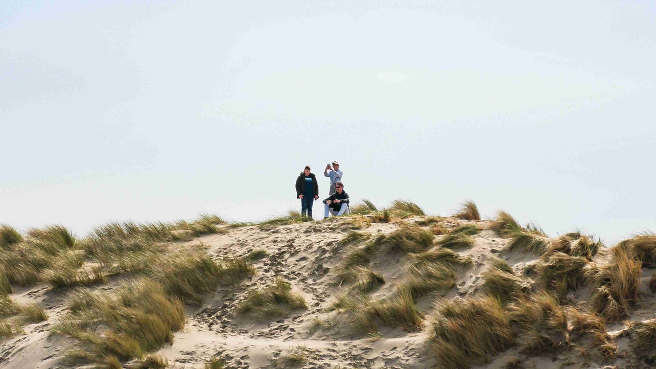 ovpagptx Farcaster social identity (Fname handle) PFP