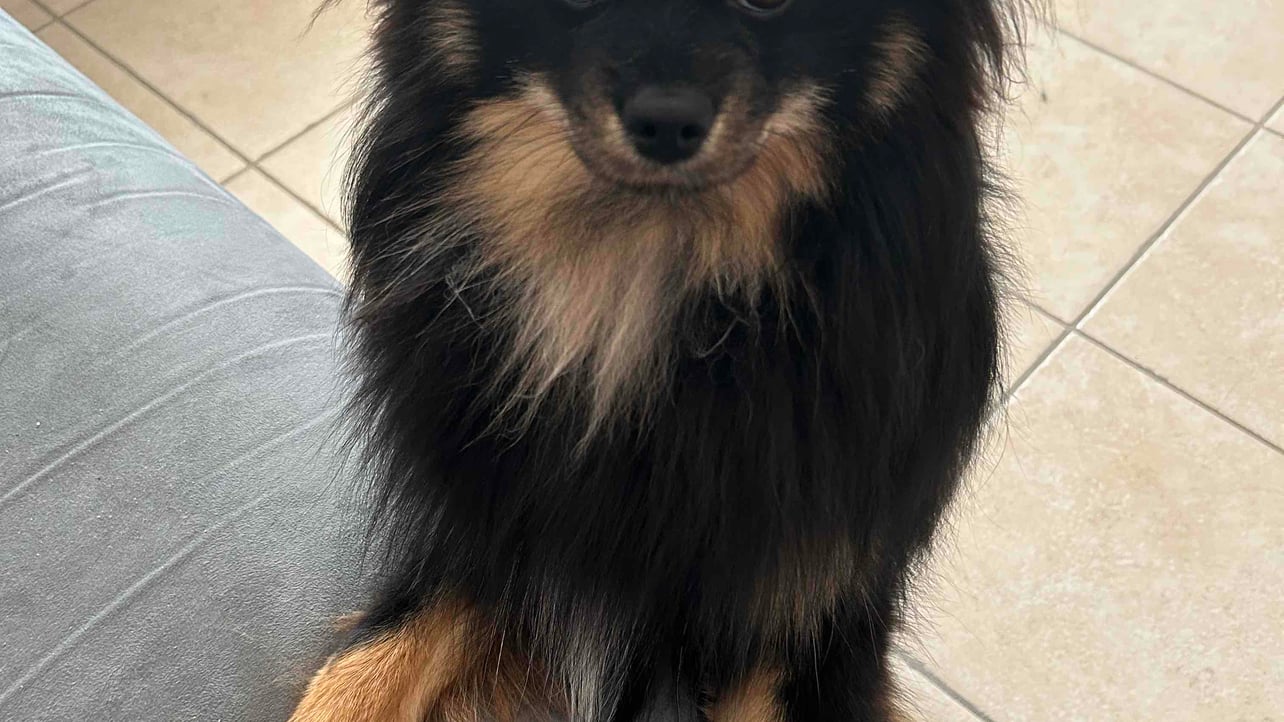 padrededios (padrededios.lens) Lens social identity (.lens handle) PFP