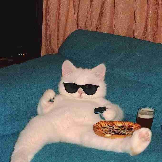 Masukin (masukin) Farcaster social identity (Fname handle) PFP