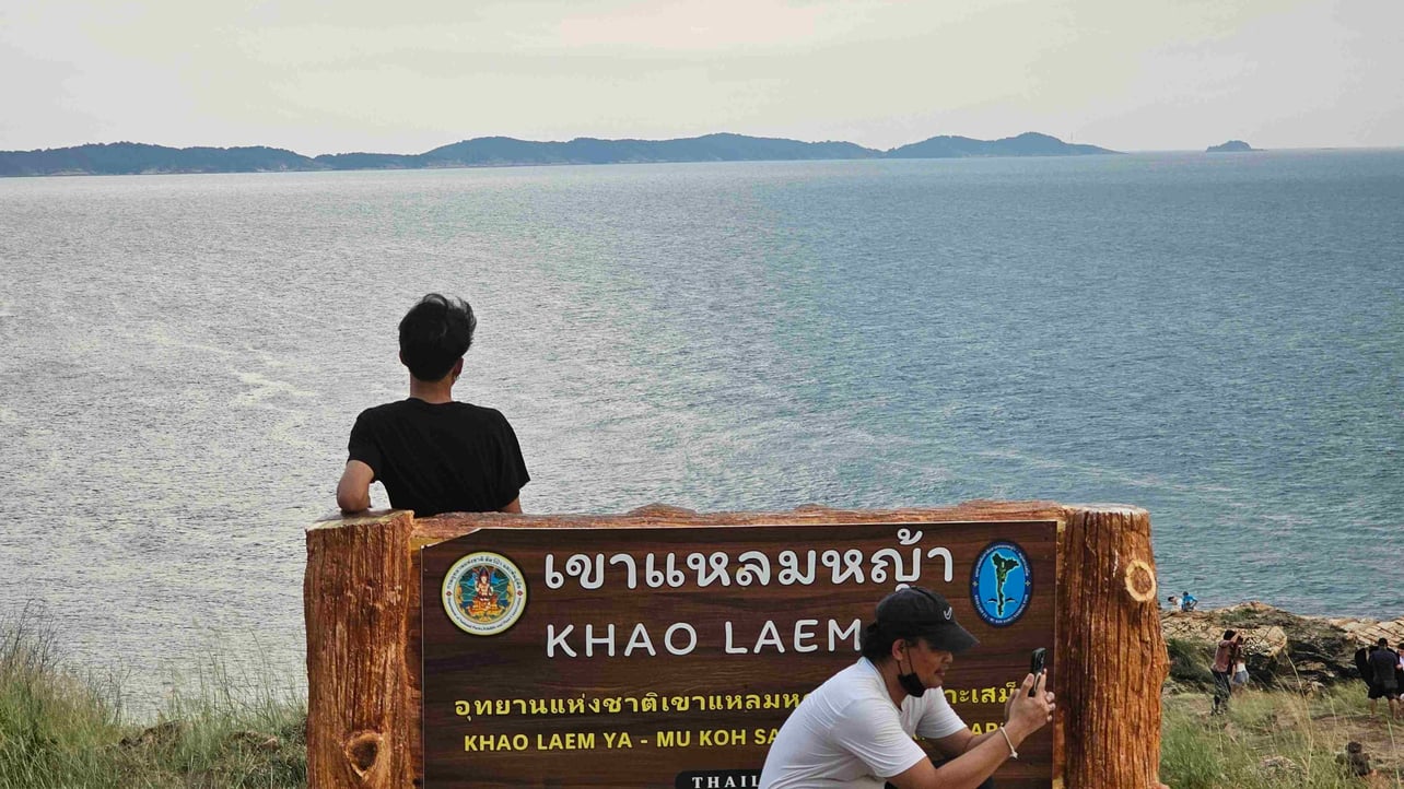 Pandaman (pandra.lens) Lens social identity (.lens handle) PFP