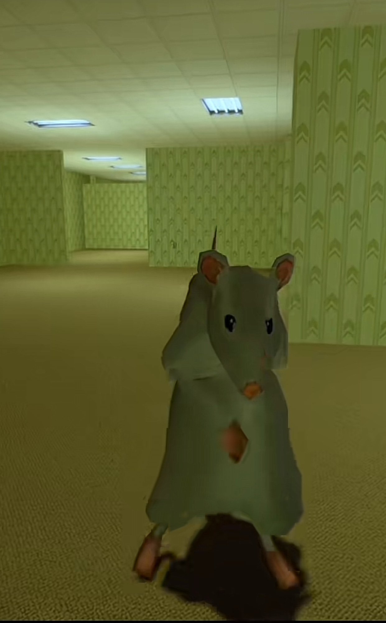 rat dance