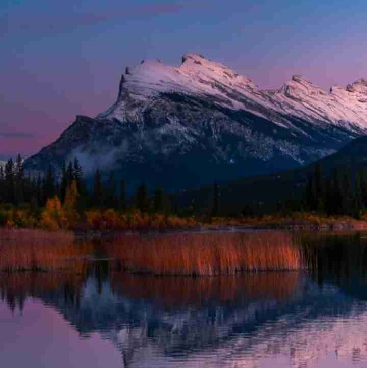 rpatel.lens Lens social identity (.lens handle) PFP