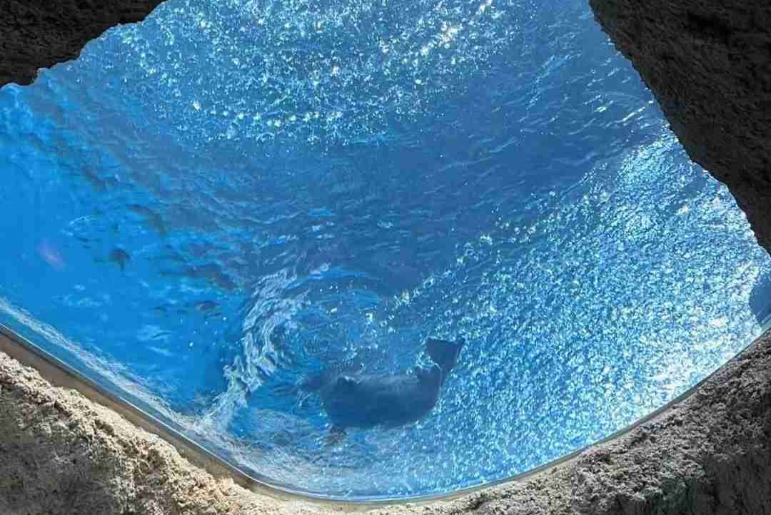 Ocean (oceanpark) Farcaster social identity (Fname handle) PFP