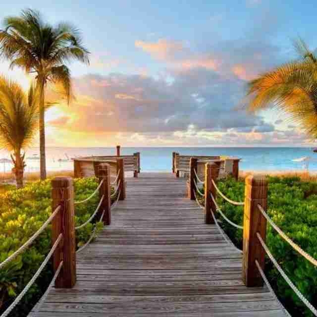 gerao.lens Lens social identity (.lens handle) PFP