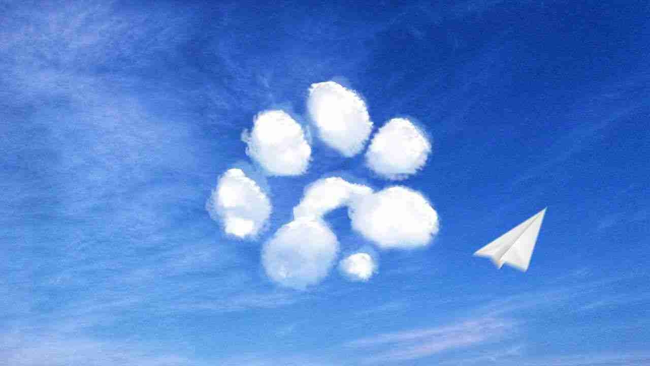 mosab1005.lens Lens social identity (.lens handle) PFP