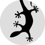 Axel pfp