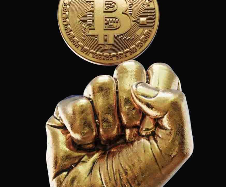 Savvy (savvy.lens) Lens social identity (.lens handle) PFP