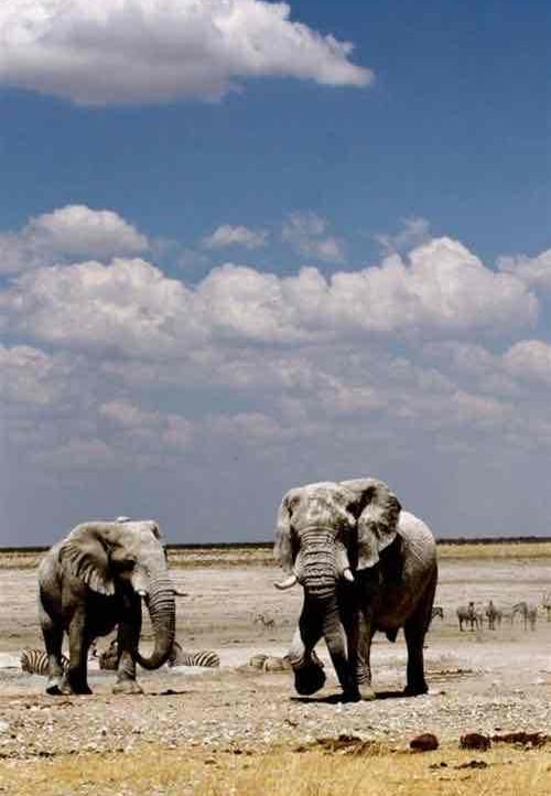 BrynWilder  (brynwilder) Farcaster social identity (Fname handle) PFP