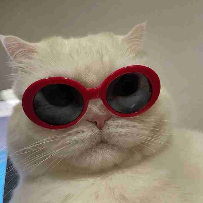 hahjaq (jhaaa) Farcaster social identity (Fname handle) PFP