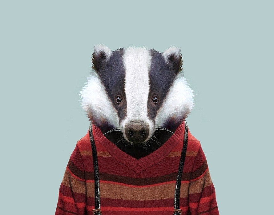 Arsen pfp