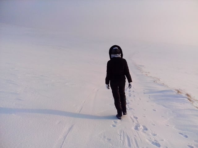 vegetablesforall.linea.eth Linea Name Service (.linea.eth domains) based on ENS PFP