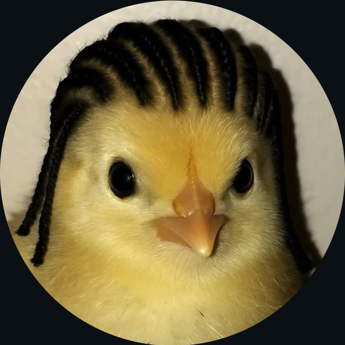 Filthywar (0xfilthywar.eth) Farcaster social identity (Fname handle) PFP