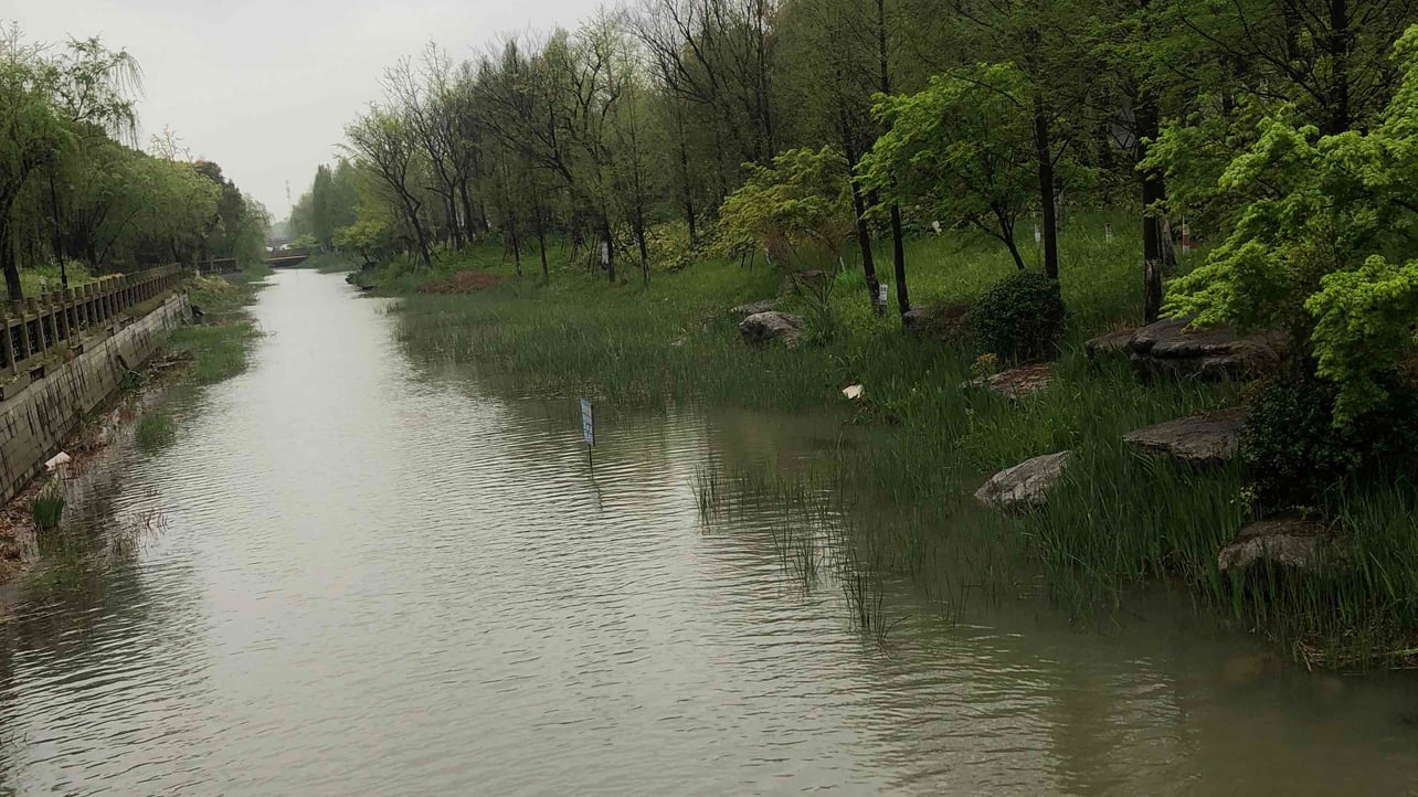 Ducoin (ducoin) Farcaster social identity (Fname handle) PFP