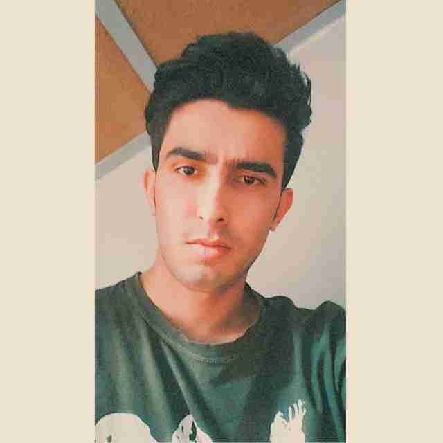 hamed pfp