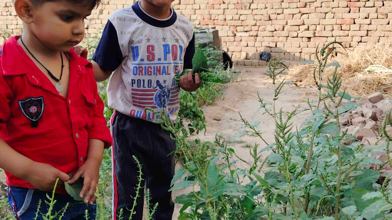 Baljeet Singh (balli09) Farcaster social identity (Fname handle) PFP