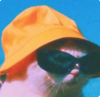 Meri pfp