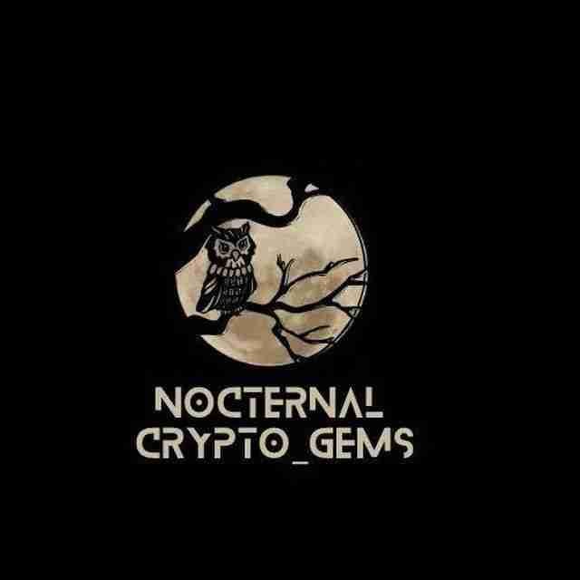 nocturnalcrypto pfp