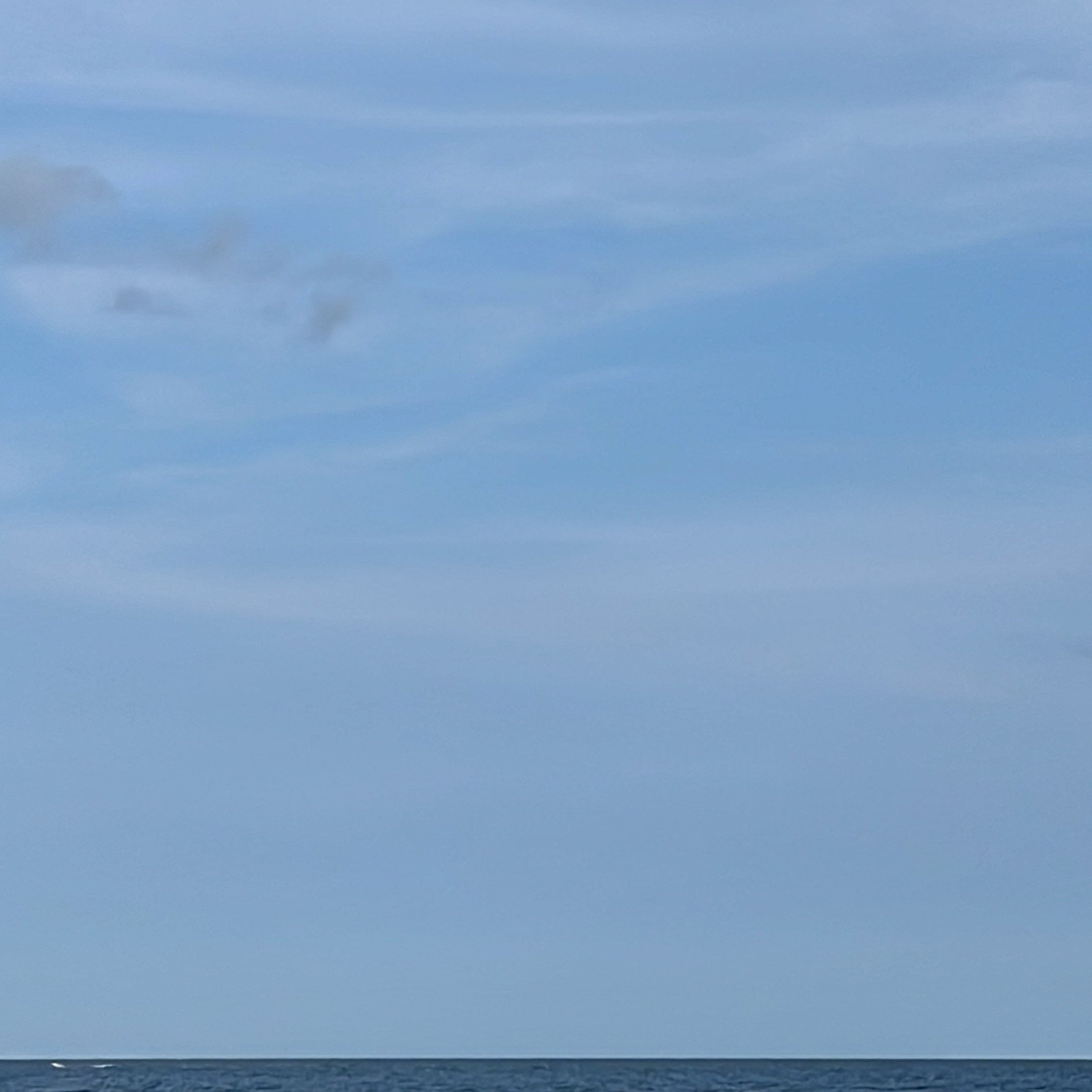 d2307.lens Lens social identity (.lens handle) PFP