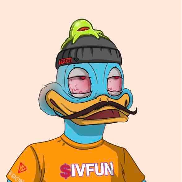 WARPER pfp
