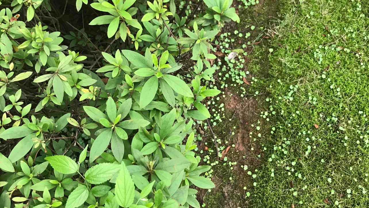 Yuchi ohon (ugfguguhi) Farcaster social identity (Fname handle) PFP