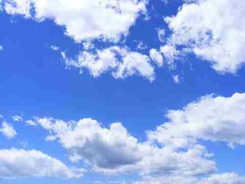 Sky Blue pfp