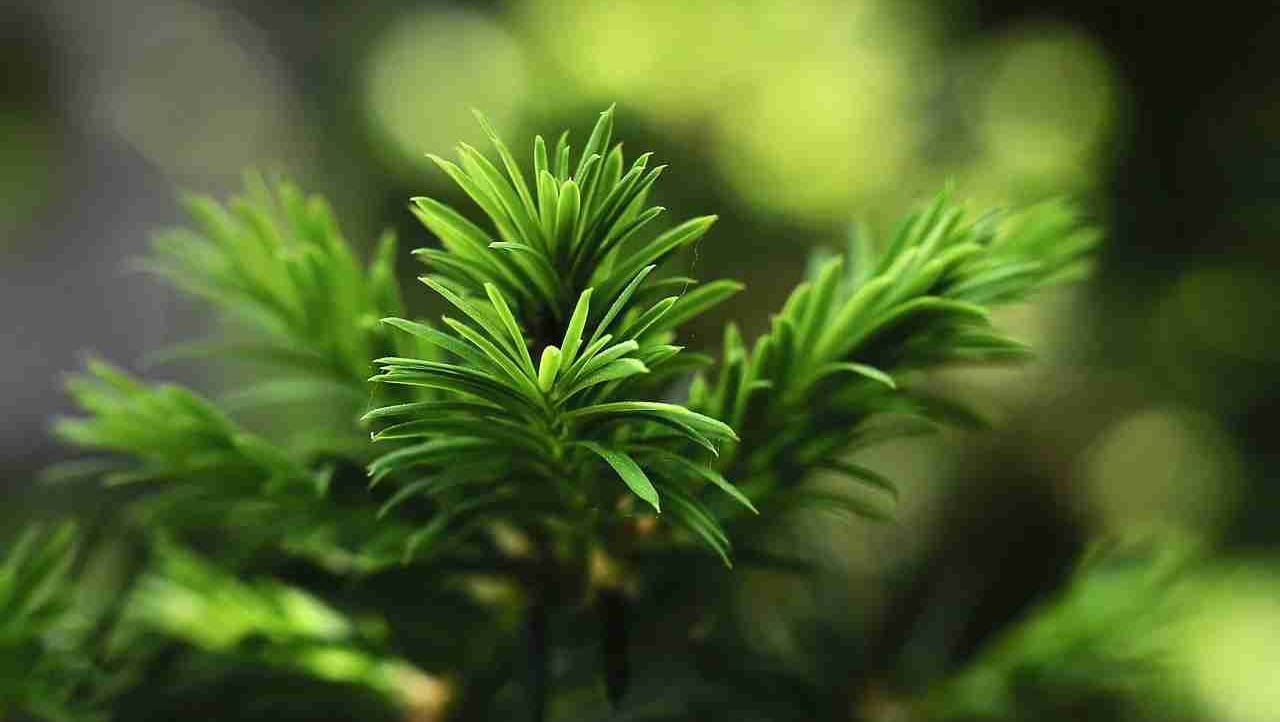 DerrickWilliam
 (derrickwilliam) Farcaster social identity (Fname handle) PFP