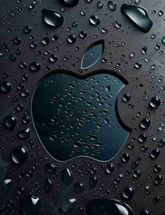 Harmeet Singh (sarcastic07.lens) Lens social identity (.lens handle) PFP