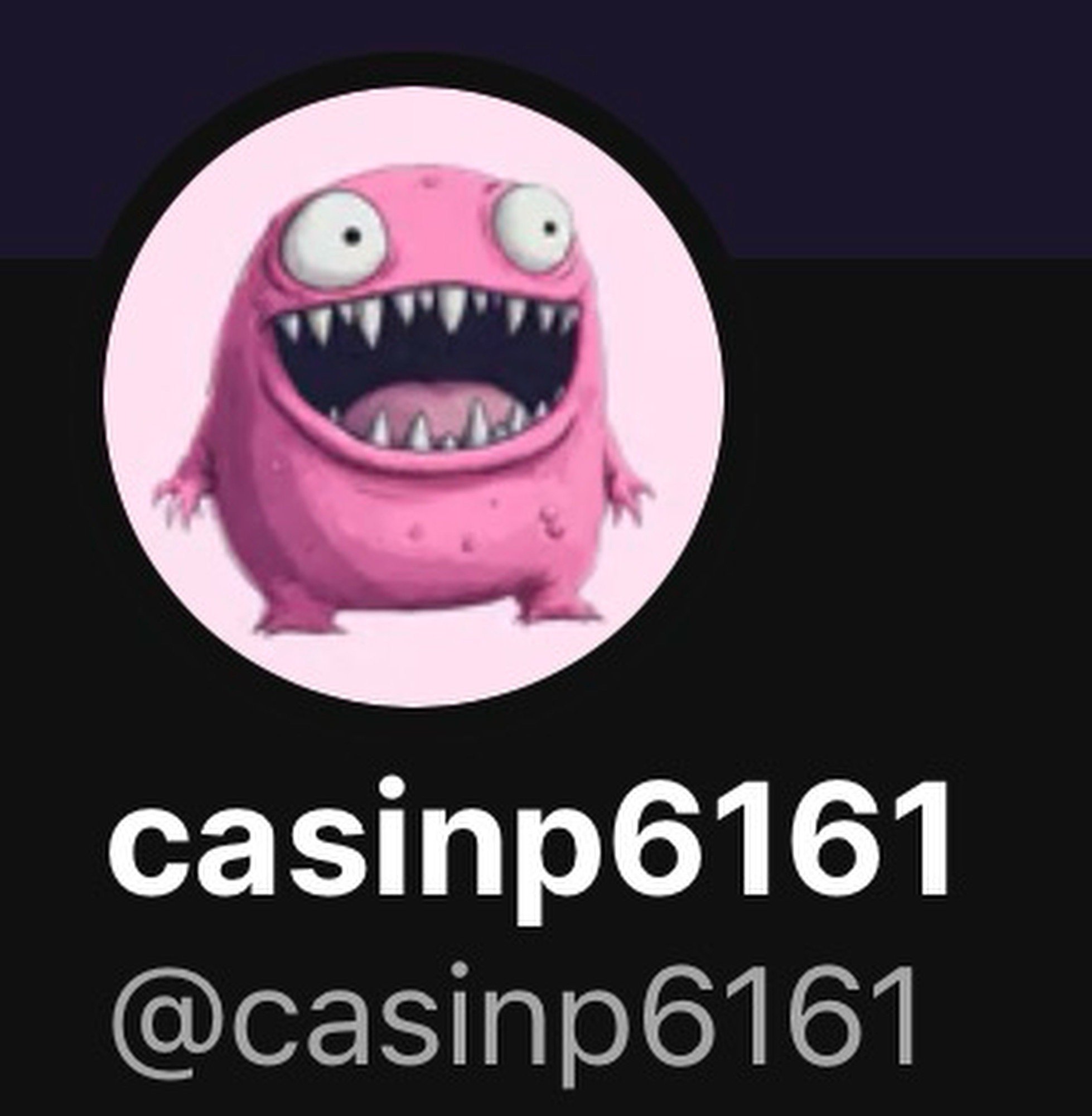 casipn6161