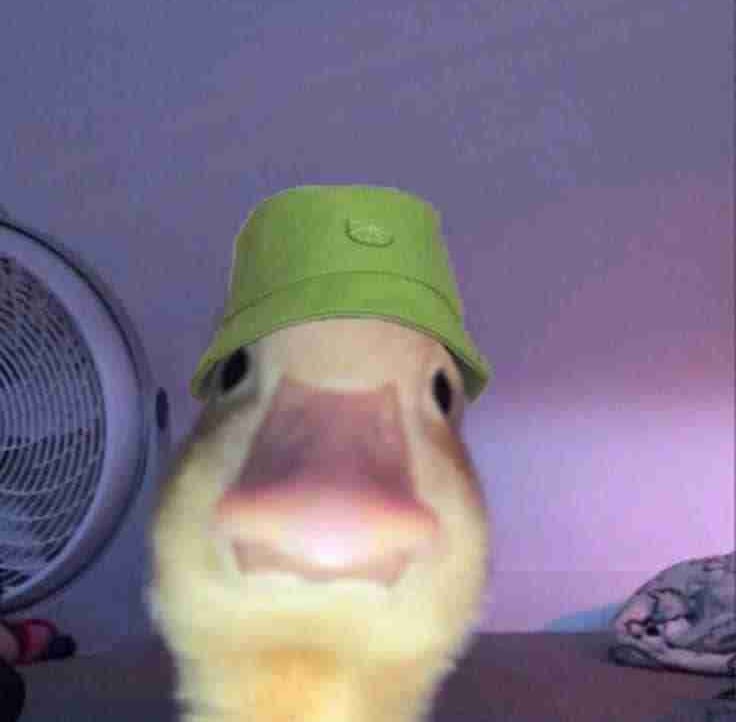 Silver pfp
