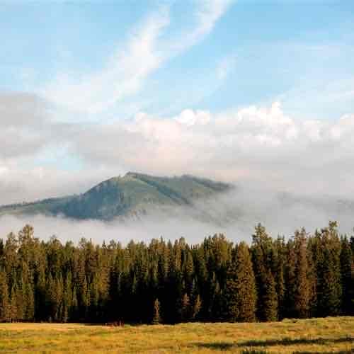 essenfollow932 Farcaster social identity (Fname handle) PFP