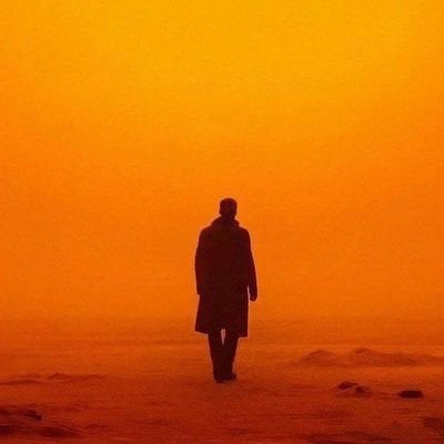 greyarch28.lens Lens social identity (.lens handle) PFP