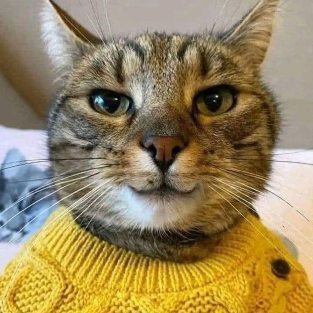 chankas.eth Ethereum Name Service (ENS and .eth domain) PFP