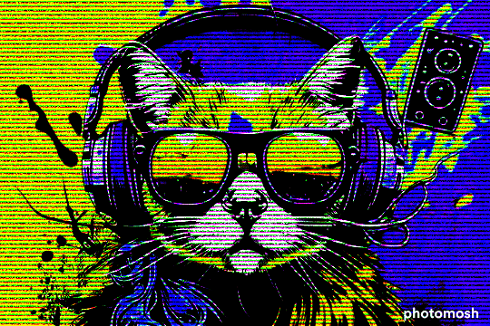 CryptoKot ๐ฉ๐ pfp