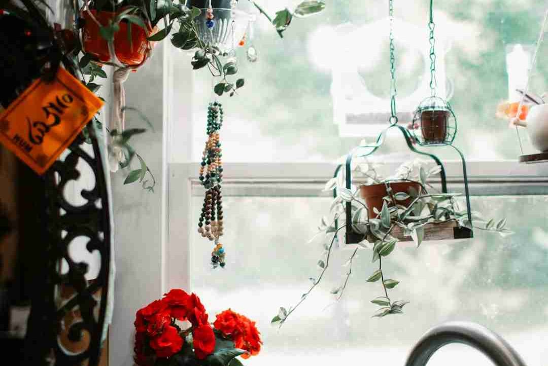 BookLover (royesmot) Farcaster social identity (Fname handle) PFP