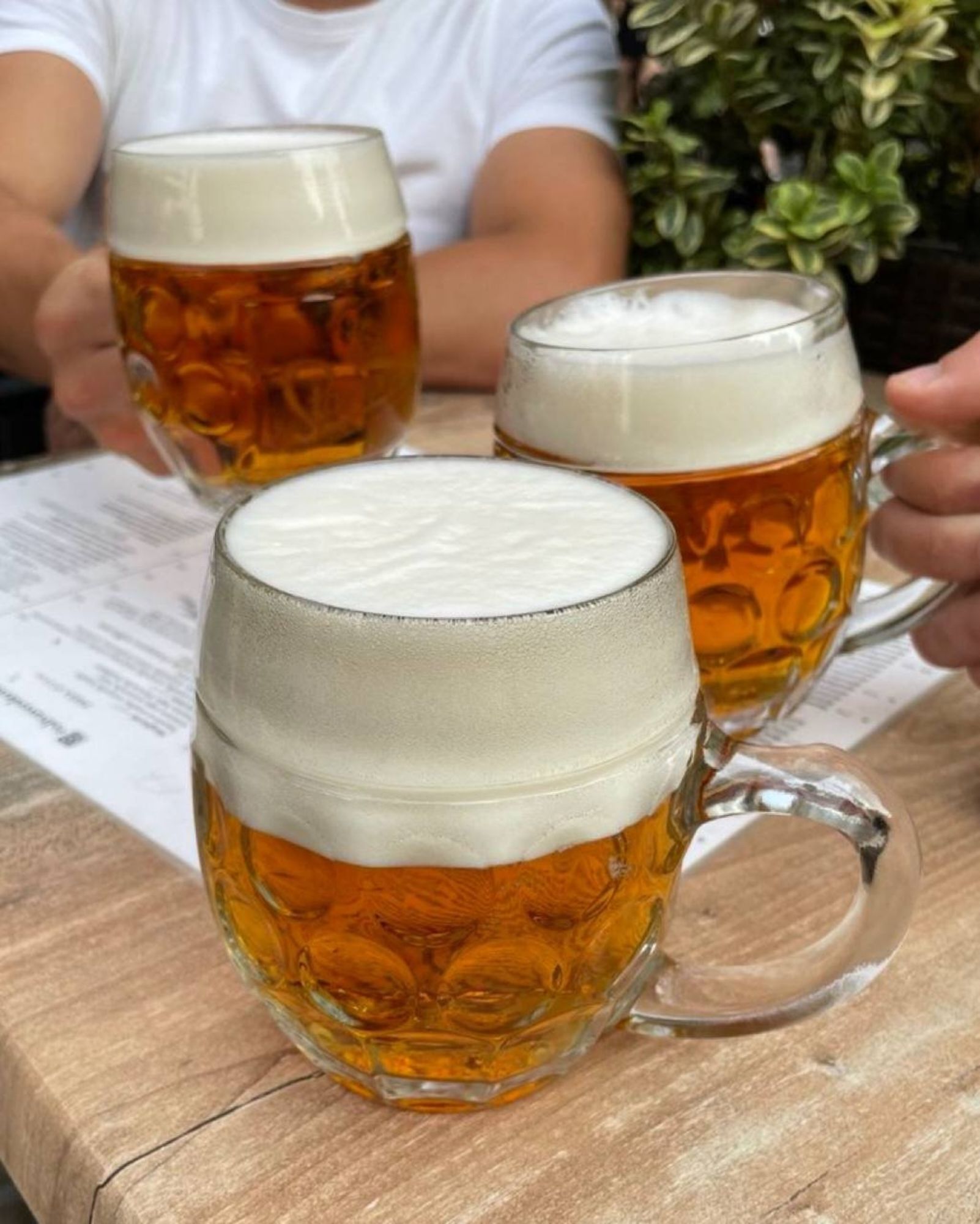 BeerBase