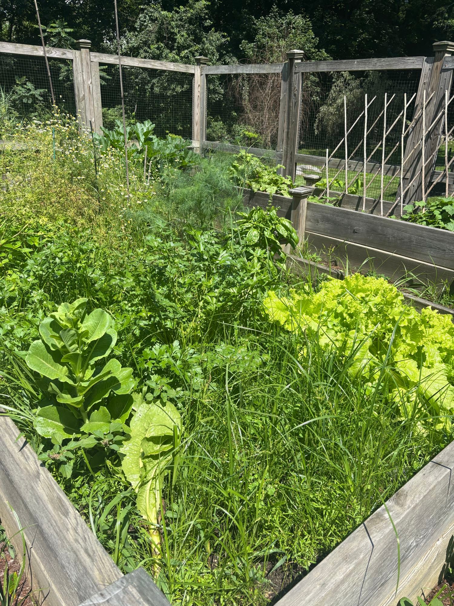 Embed from @adrienne