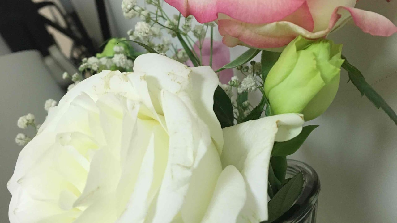 bnc03.lens Lens social identity (.lens handle) PFP