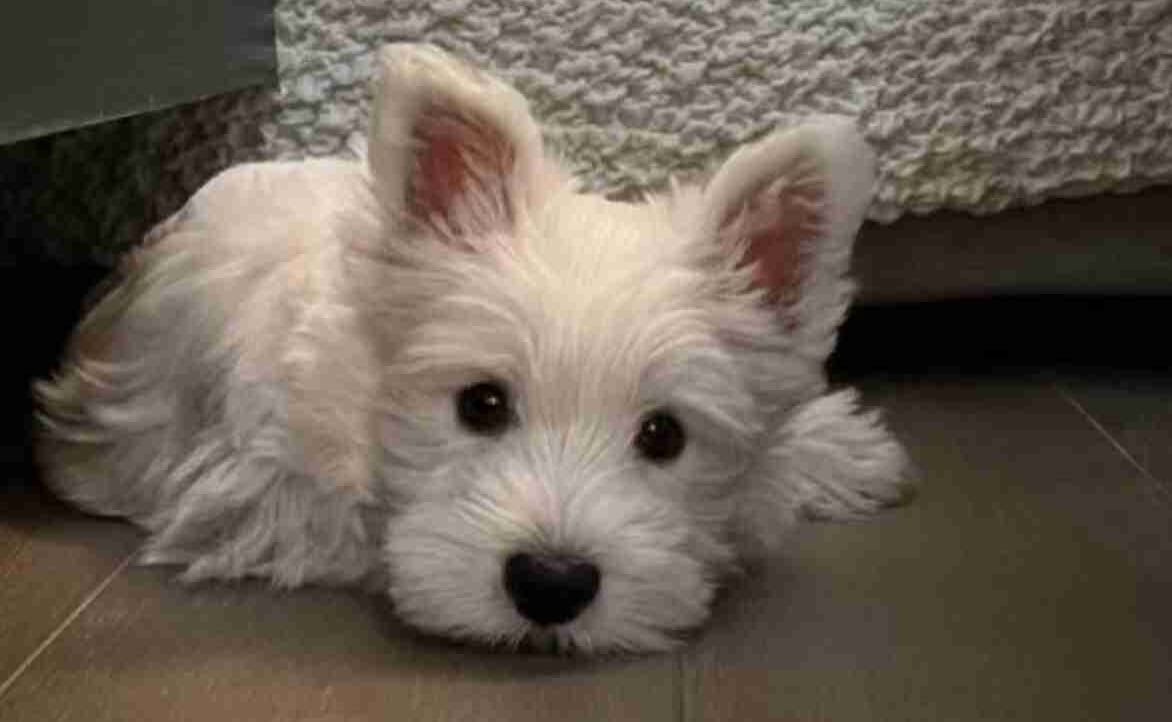 Elijahdmkz (elijahdmkz) Farcaster social identity (Fname handle) PFP