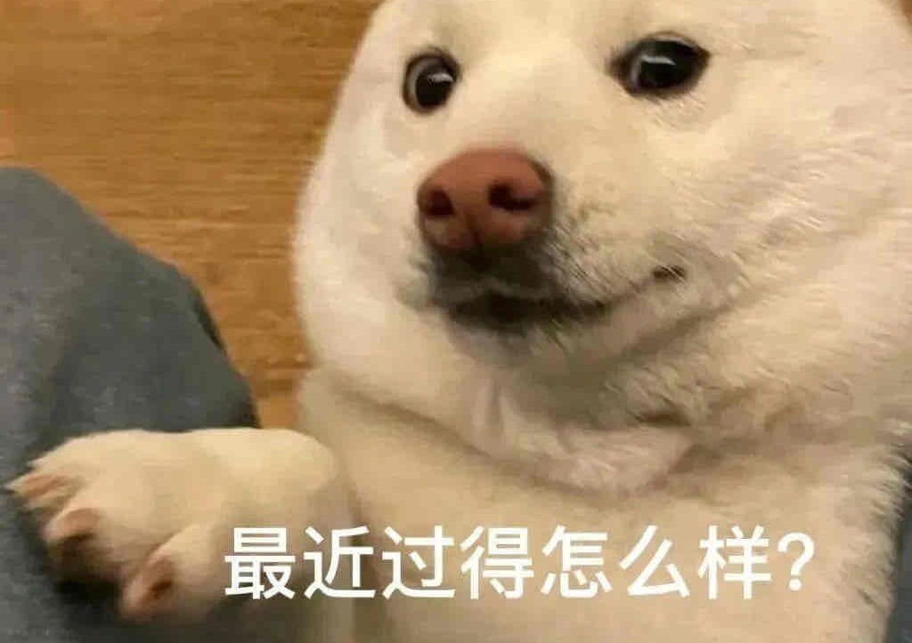 Gourmet Adventurer (imxiaohu) Farcaster social identity (Fname handle) PFP