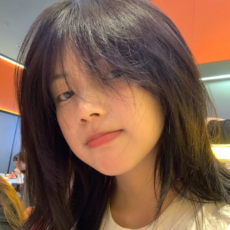 Arialdoxs pfp