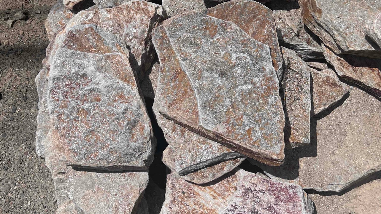 Selena sativa (selenasativa) Farcaster social identity (Fname handle) PFP