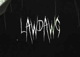 LawDawg🎩 pfp