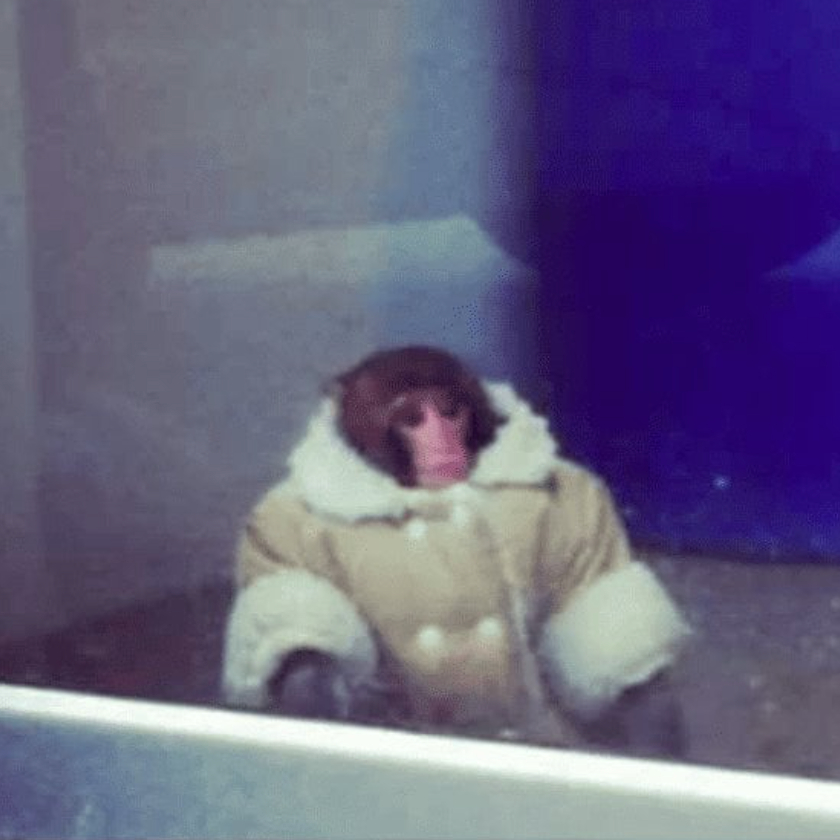 IKEA MONKEY