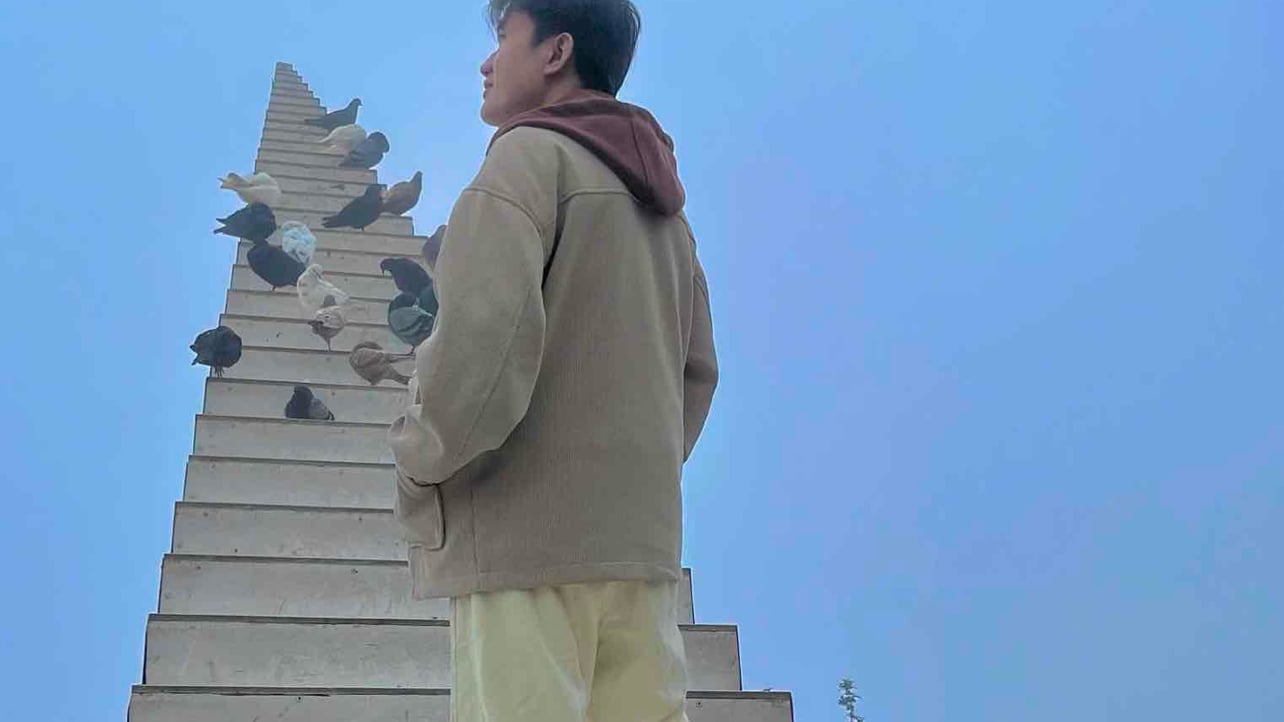 Kim Sơn pfp