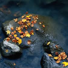 Thunder (velvetthunder22) Farcaster social identity (Fname handle) PFP