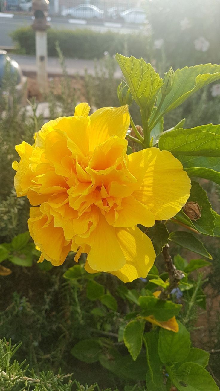 https://imagedelivery.net/BXluQx4ige9GuW0Ia56BHw/c0ef07ec-ba6c-40bb-b055-3c9b068bec00/original